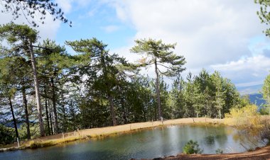 UNWTO, EBRD'NİN YEŞİL TEKNOLOJİLER İÇİN WEB ARACINI DESTEKLİYOR