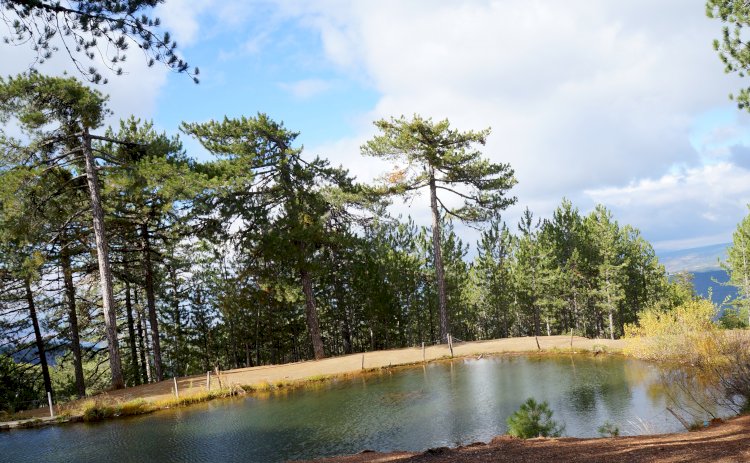 UNWTO, EBRD'NİN YEŞİL TEKNOLOJİLER İÇİN WEB ARACINI DESTEKLİYOR