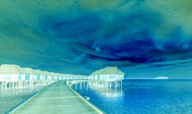 Dünyada ilk Corocierge Corona Acentesi Hannover’de Kuruldu