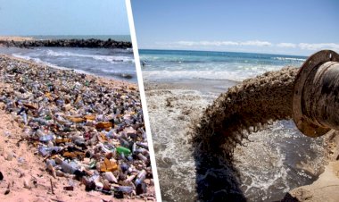 Baltık Denizi Dünyanın En Kirli Denizi Olarak Adlandırılıyor