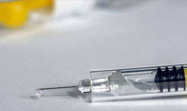 2021 için ilk olumlu haber Avusturya´dan geldi