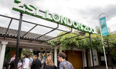 London Zoo covıd-19 ne olursa olsun tatil sezonu için yeniden açılacak
