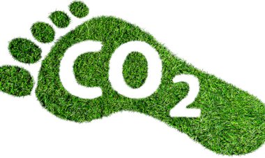 Hauser yüzde 110 CO2 telafisi ni duyurdu