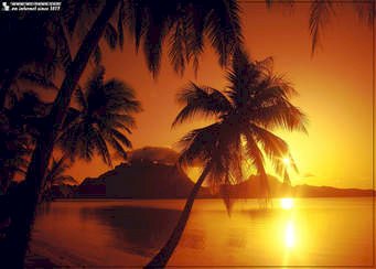 Yüz Yılın virüsü 2020 de Etkileri ve Tepkileri