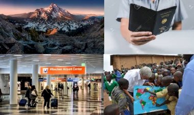 Satışlardaki Artış Duyarlılığına Acenteler Ne Diyor