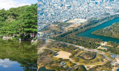 Yerel Turistik Destinasyonlara ve Turizm Sektörüne Destek