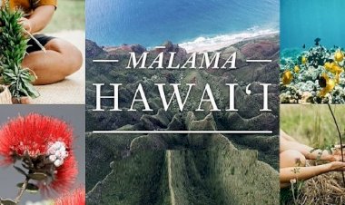 Hawaii Doğası, Duyarlı Turizm Anlayışıyla Japonya’ya Emanet