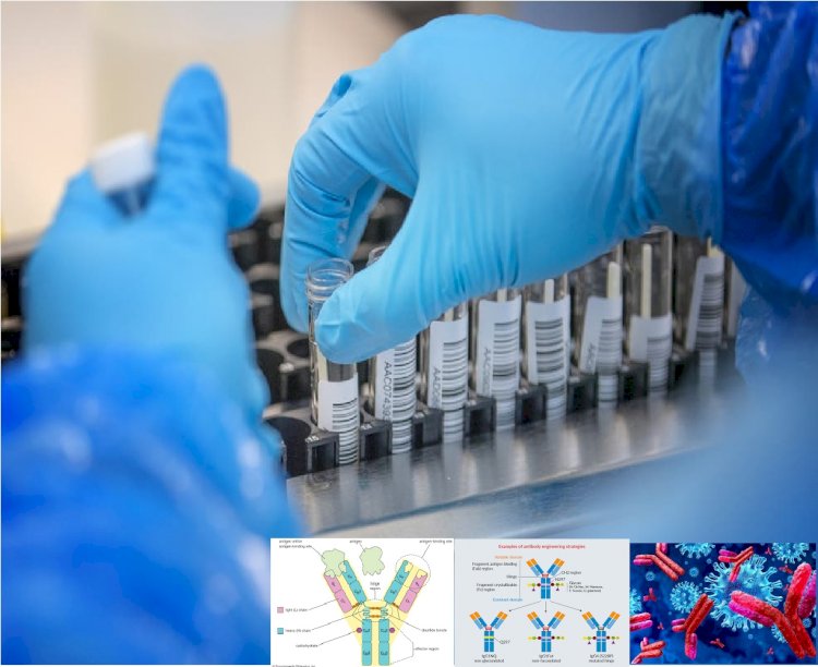 Antikor testine Dünyada İlk defa, İngiltere Halkıyla Başlayacak