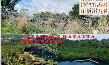 Karbonsuz Hayatta Uzun Yaşam