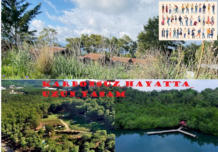 Karbonsuz Hayatta Uzun Yaşam