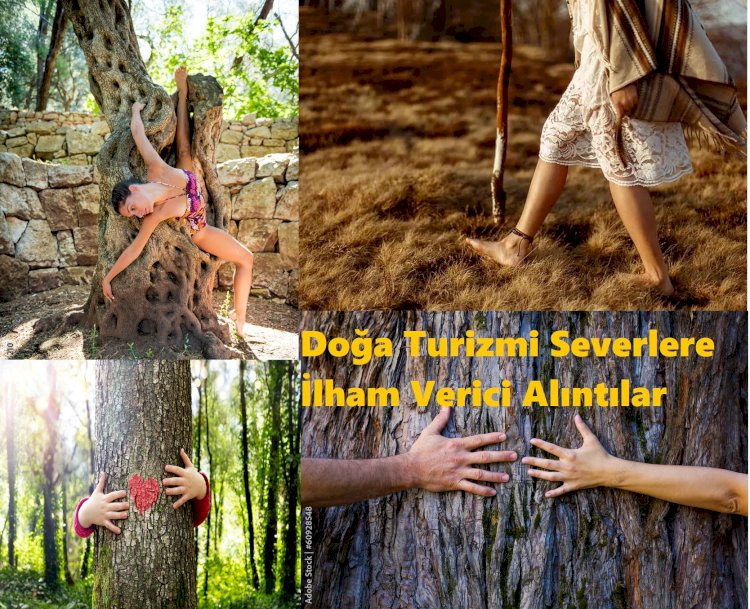 Doğa Turizmi Severlere İlham Verici Alıntılar